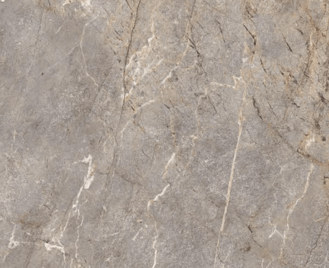 Silver Root